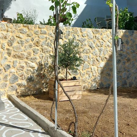 Rustic Private Cottage W/ King Bed In Galanado Naxos Экстерьер фото