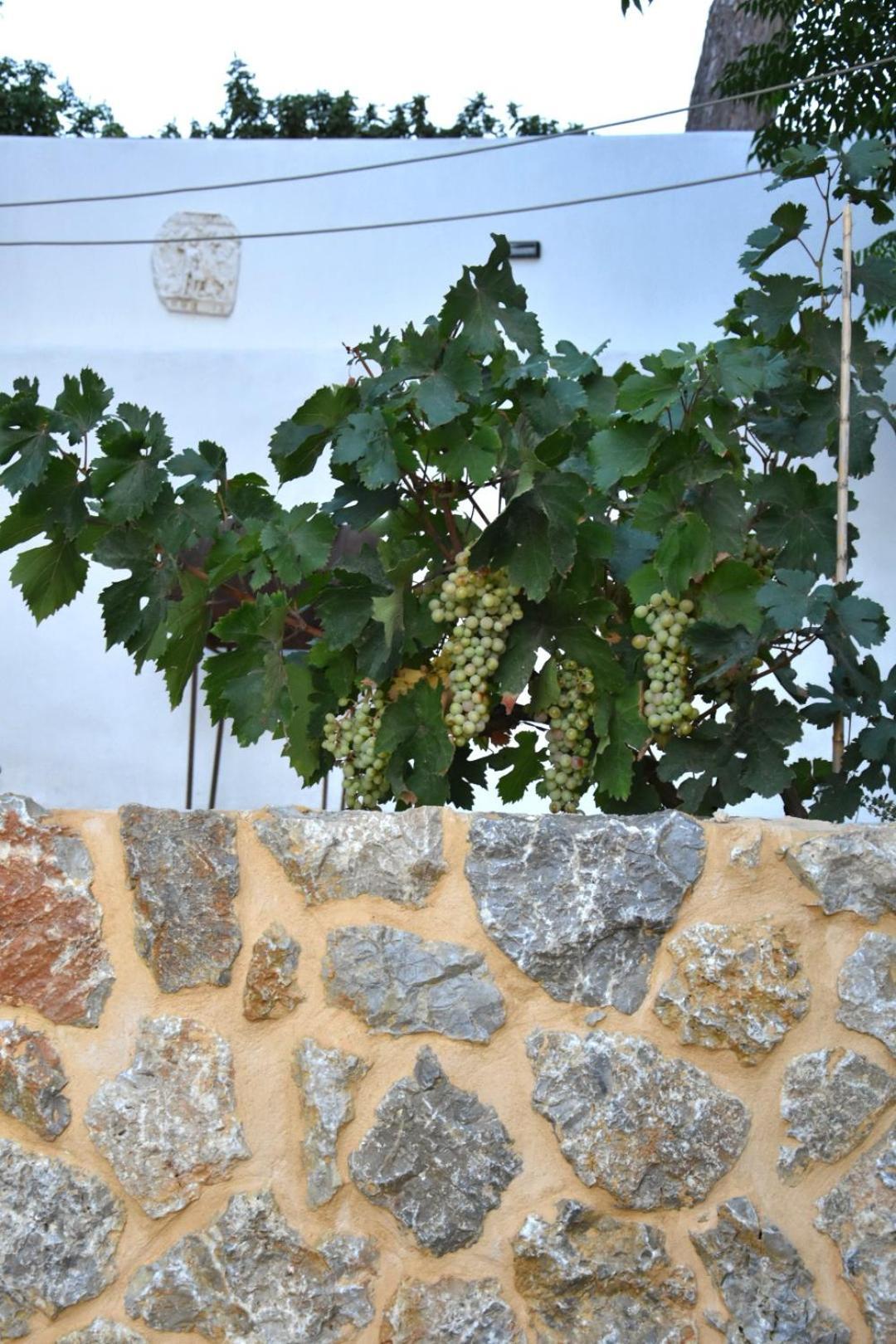 Rustic Private Cottage W/ King Bed In Galanado Naxos Номер фото
